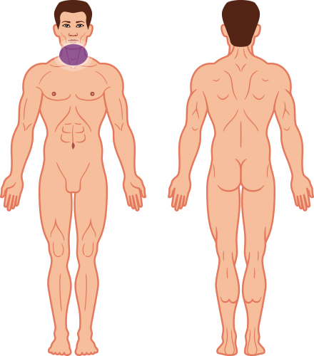 Chin / Jowels