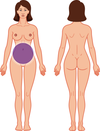 Abdomen